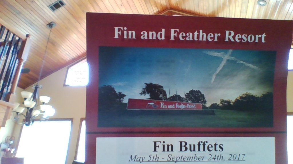 Fin and Featder